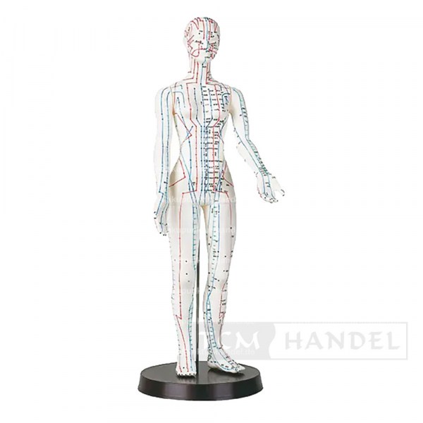 Produkt TCM und Akupunktur Handel 1002_1