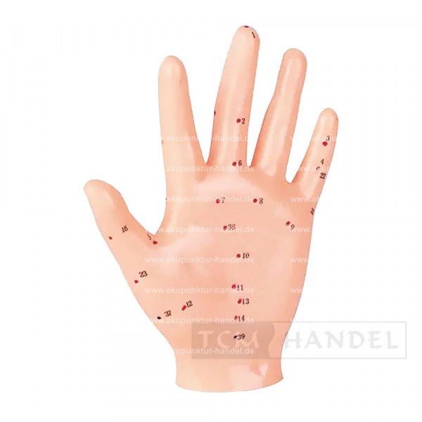 Produkt TCM und Akupunktur Handel 1004_1